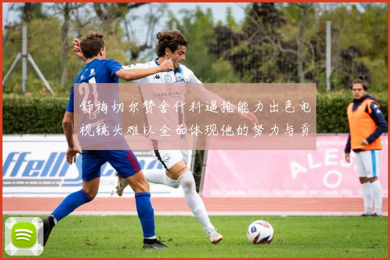 舒梅切尔赞舍什科逼抢能力出色电视镜头难以全面体现他的努力与贡献