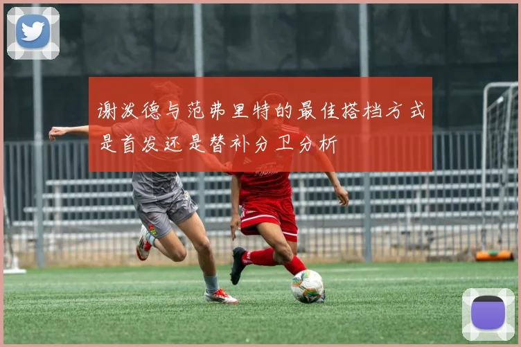 谢泼德与范弗里特的最佳搭档方式是首发还是替补分卫分析